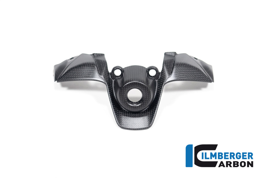 Ilmberger Carbon Ignition Cover, matt, Ducati Streetfighter V2, 2022-