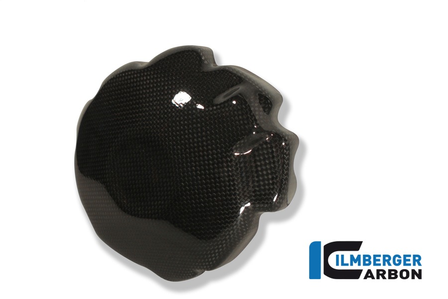 Lichtmaschinendeckelabdeckung, Carbon