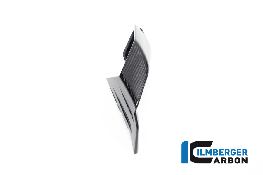 Carbon Winglet Retrofit Kit for BMW S1000RR from 2019- and M1000RR from 2020-