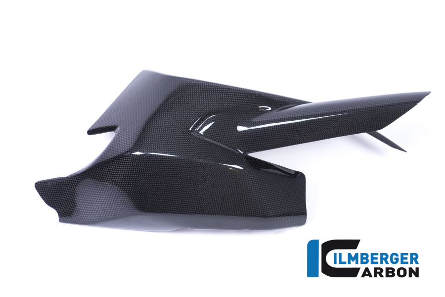 Ilmberger Carbon Swingarm Protector, Gloss, Carbon
