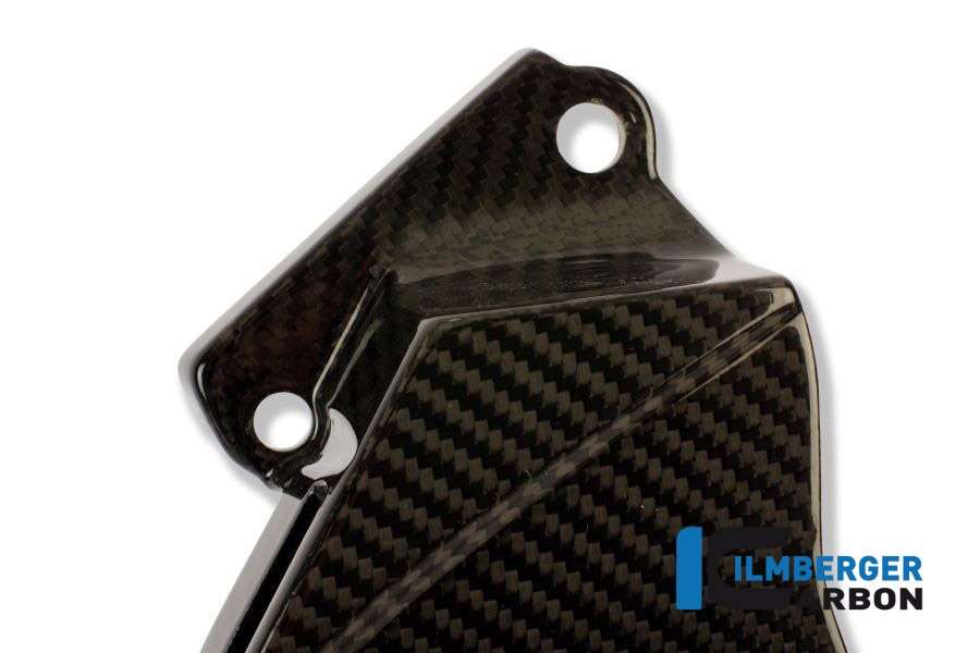 Ritzelabdeckung  aus, Carbon