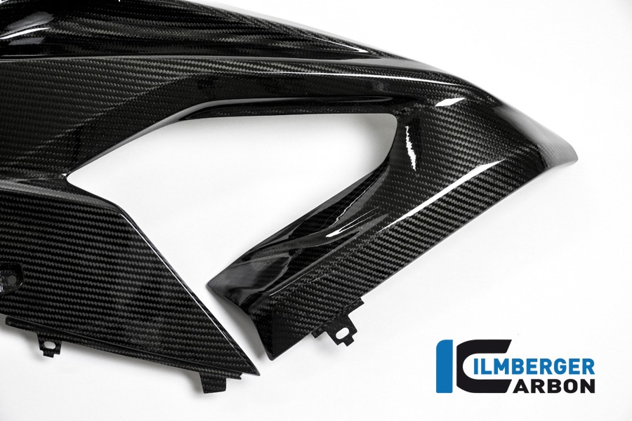 Verkleidungsseitenteil links, Carbon