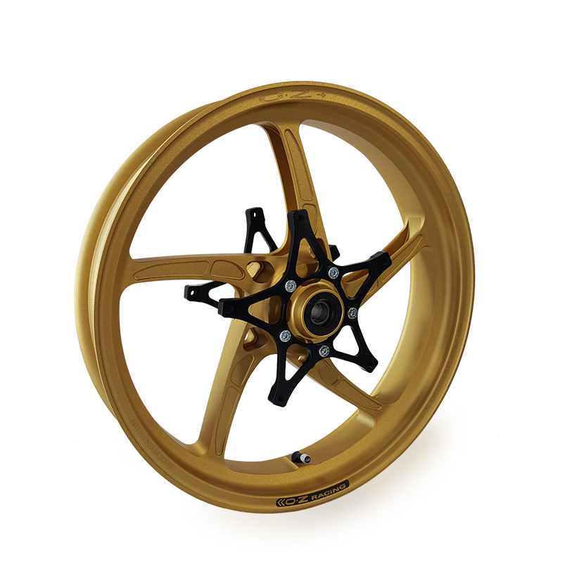 OZ Piega 17" Conversion Kit BMW R 1250 GS Gold-coloured incl. alpha Racing brake discn