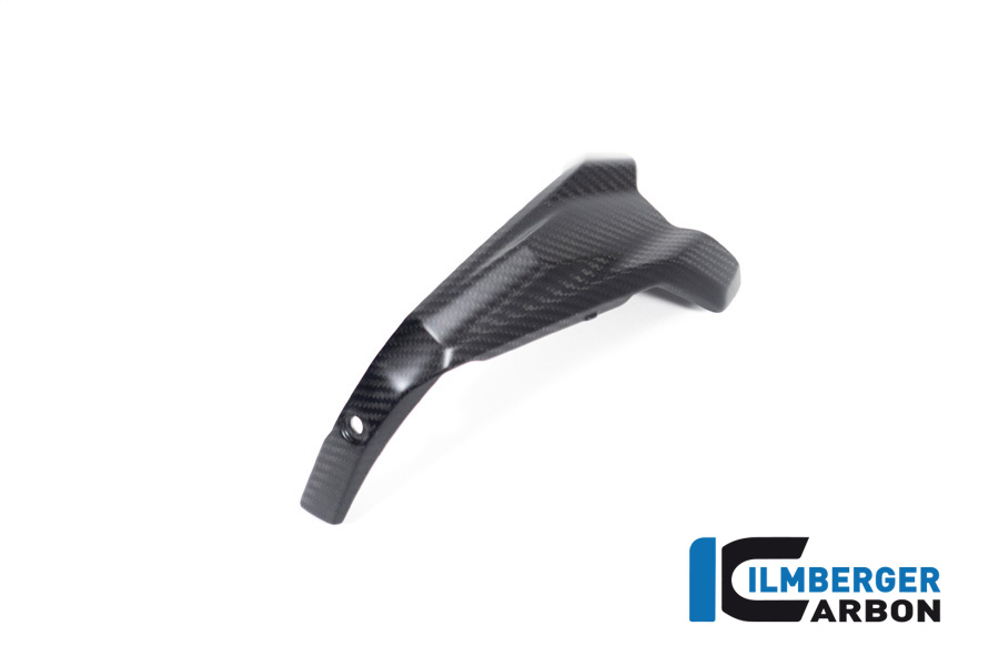 Ilmberger Carbon Spark Plug Cover left side L/S, matt, BMW R1300GS 2023-