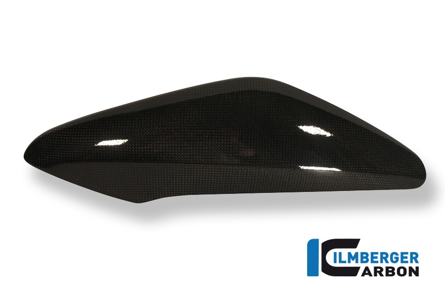 Ilmberger Carbon Side Panel above the radiatorr right side R/S, Carbon