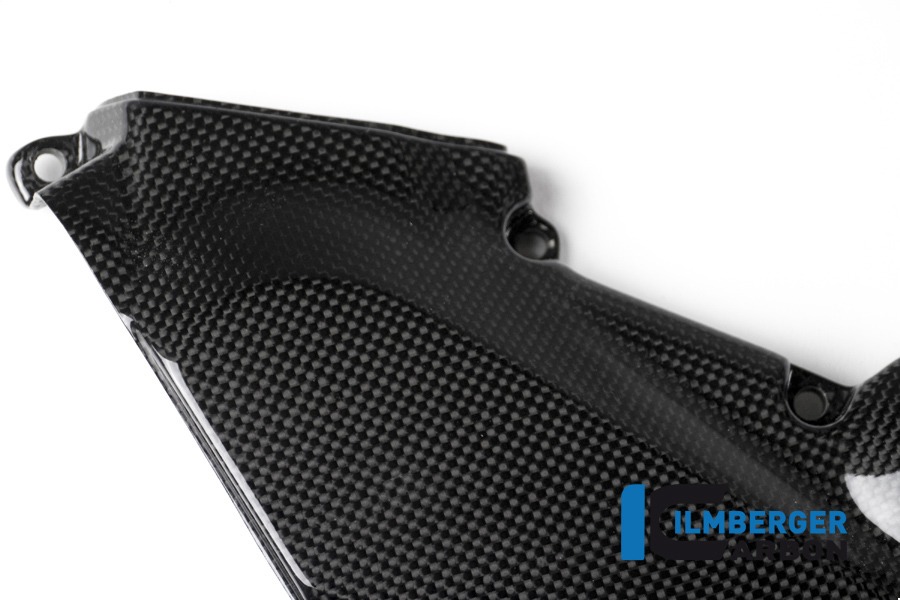Zahnriemenabdeckung horizontal glanz, Carbon