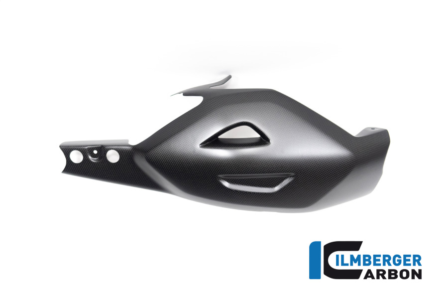 Ilmberger Carbon Swingarm Protector, matt, Ducati Diavel V4, 2023-