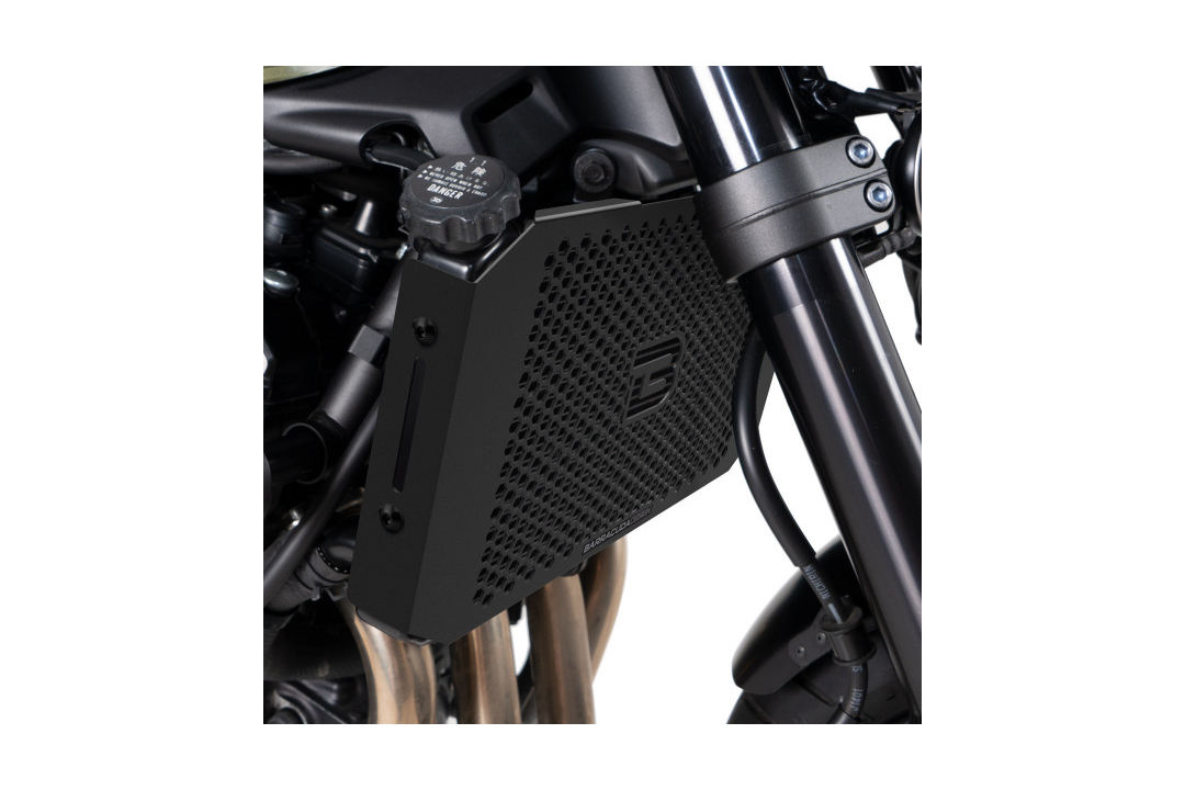 Barracuda radiatorr Fairing for Kawasaki Z900RS Model Year 2018-2020