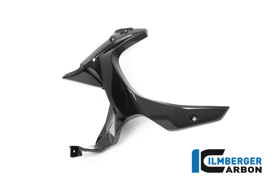 Windschild, Carbon