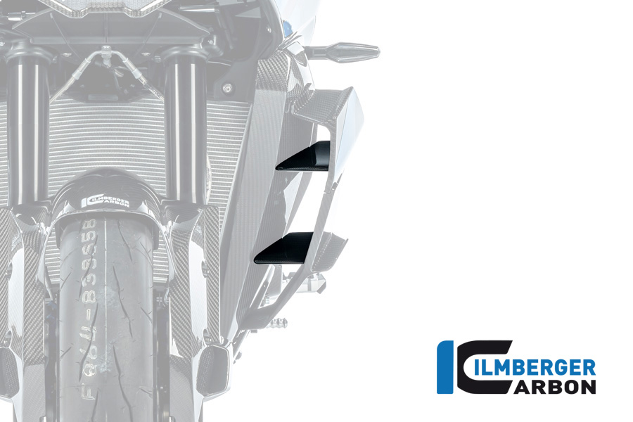 Ilmberger Inner Carbon Winglet left side L/S BMW M1000XR, S1000XR, from 2024-
