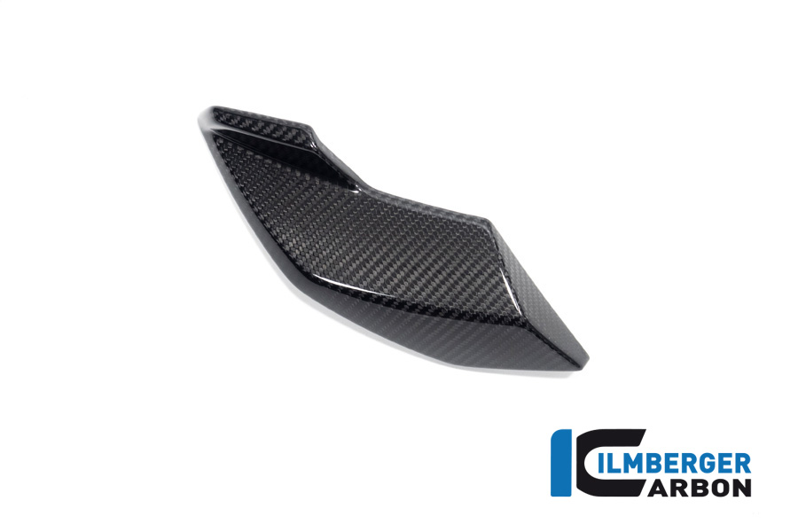 Ilmberger Carbon Side Cover on head light right side R/S, glossy, BMW S1000R 2020-, M1000R 2023-