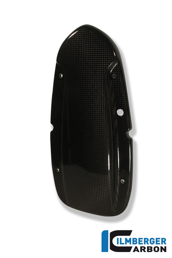 Lichtmaschinendeckel, Carbon