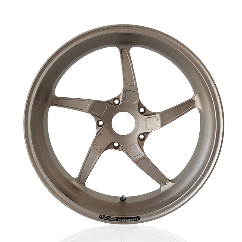 OZ Piega 17" Conversion Kit BMW R1200GS Titanium incl. alpha Racing brake discn