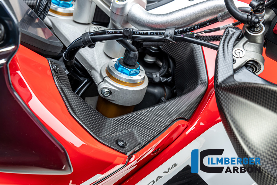Ilmberger Carbon left side L/S Cover next to the Cockpit, Matt, Ducati Multistrada V4 2020-