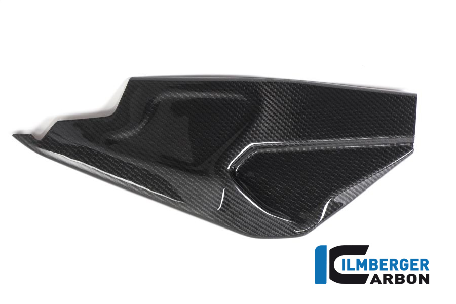 Ilmberger Carbon Swing Arm Cover right side R/S glossy, BMW HP4 RACE 2018-2019