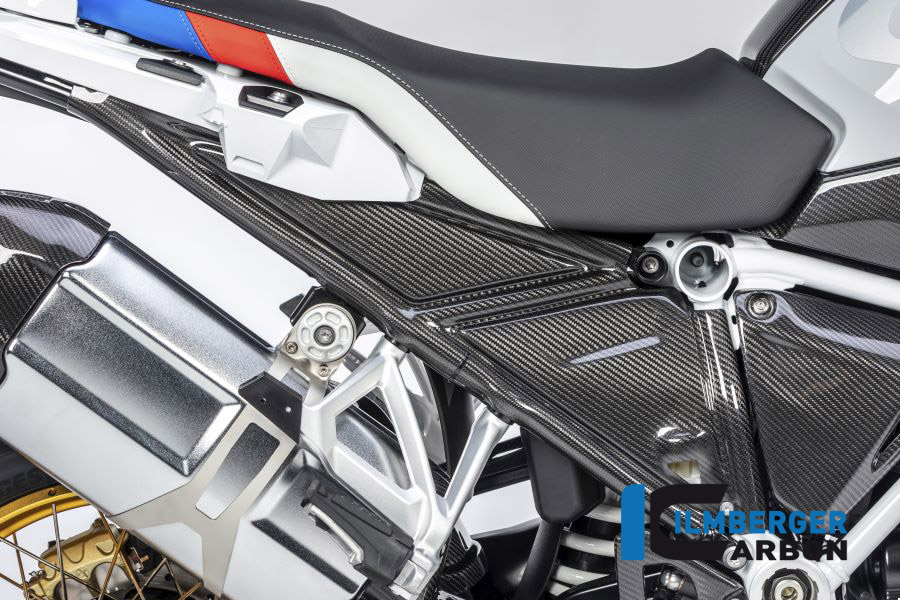Windschild, Carbon
