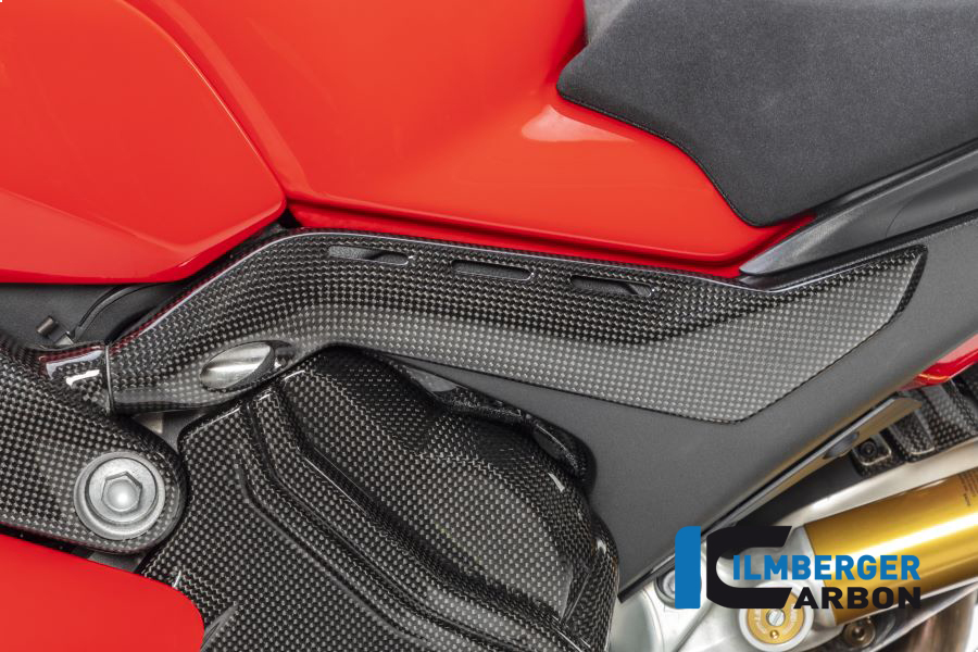 Sub Frame protector left gloss Ducati Panigale V4 