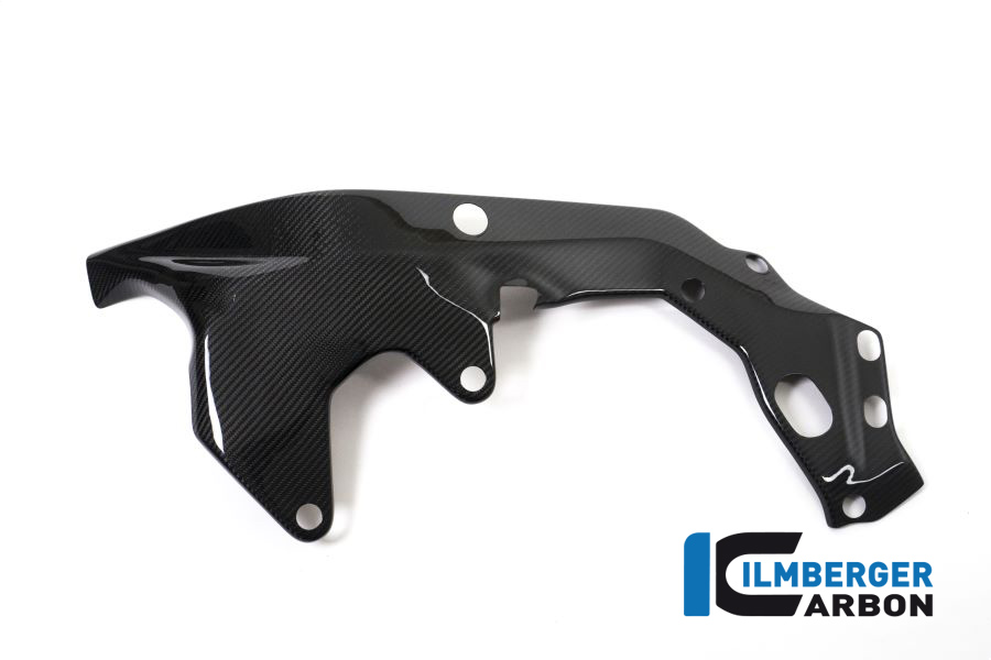 Ilmberger Carbon frame cover left side L/S, glossy, BMW HP4 RACE 2018-