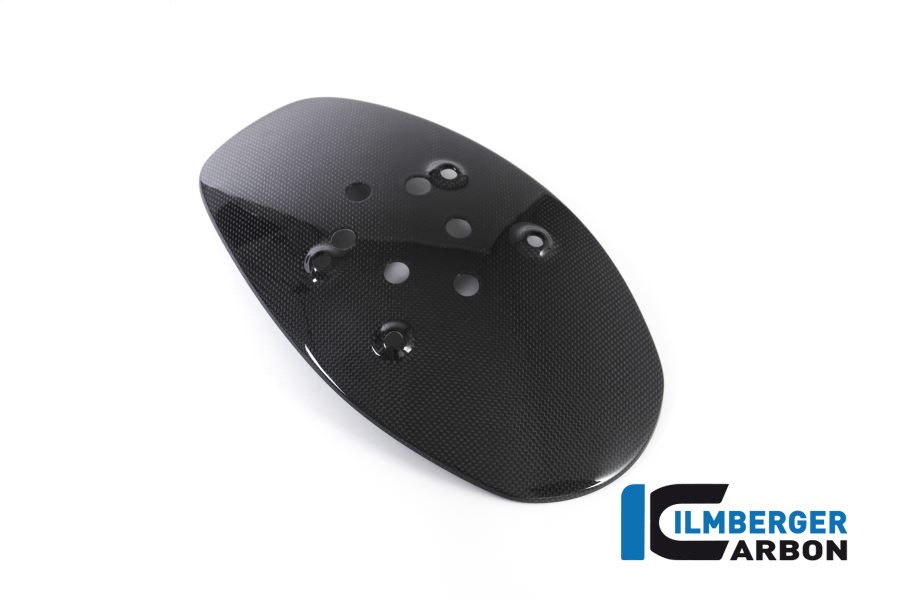 Ilmberger Carbon splash protector rear gloss