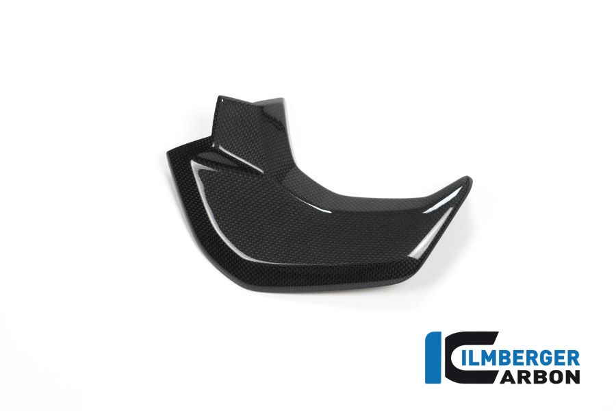 Ilmberger Carbon Cover next to Cockpit left side L/S Gloss