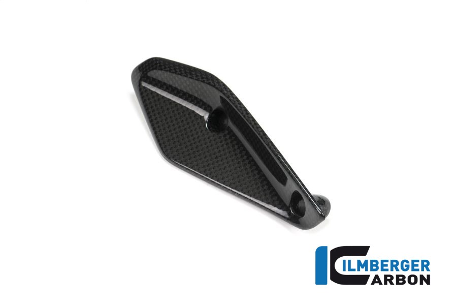 Ilmberger Carbon Fairing Winglet right side R/S
