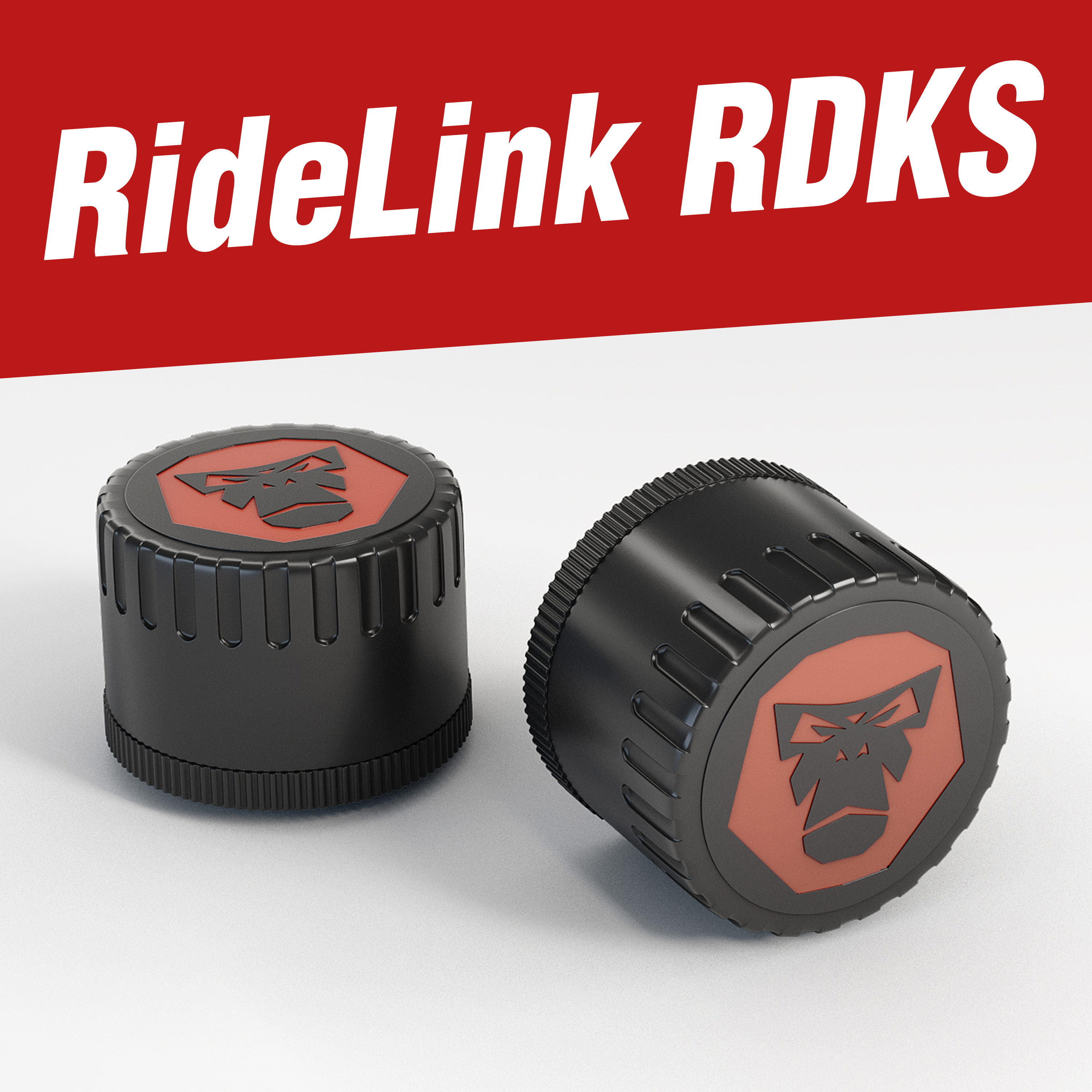 RideLink TPMS Bluetooth-tire pressure monitoring system for motorcycle