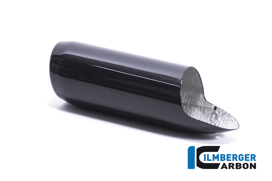 Kotflügel vorne, Carbon