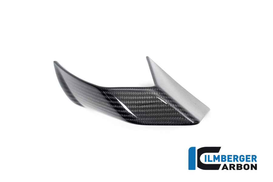 Ilmberger Carbon Fairing Winglet right side R/S, gloss, BMW S1000R 2021-