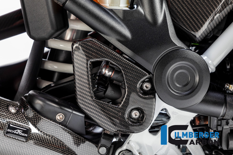 Windschild, Carbon