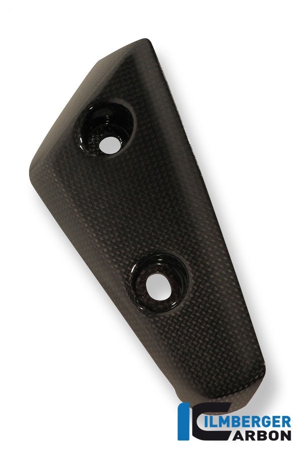 Flap am Kotflügel vorne links, Carbon