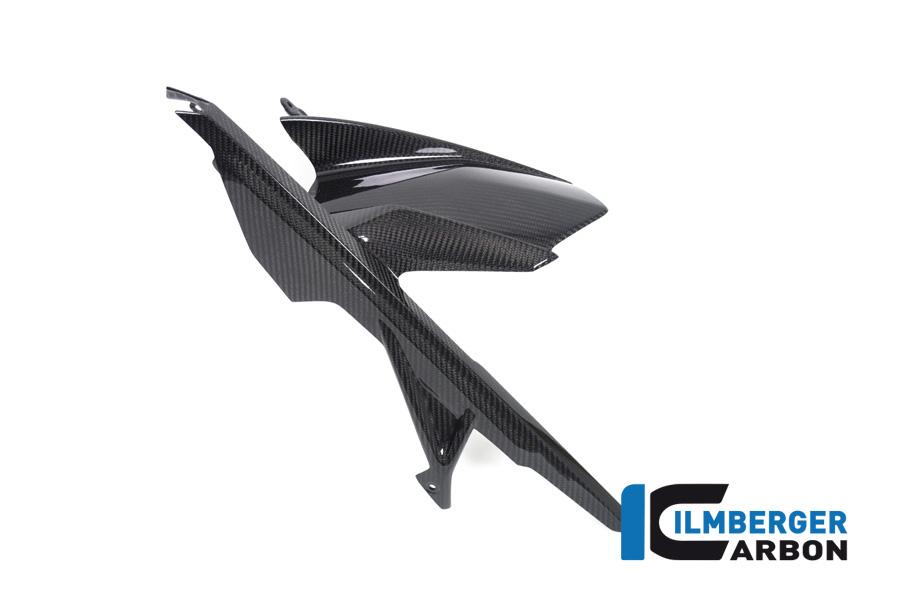 Ilmberger Carbon Front Mudguard rear with chainguard without ABS, Carbon