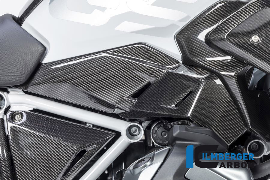 Windschild, Carbon