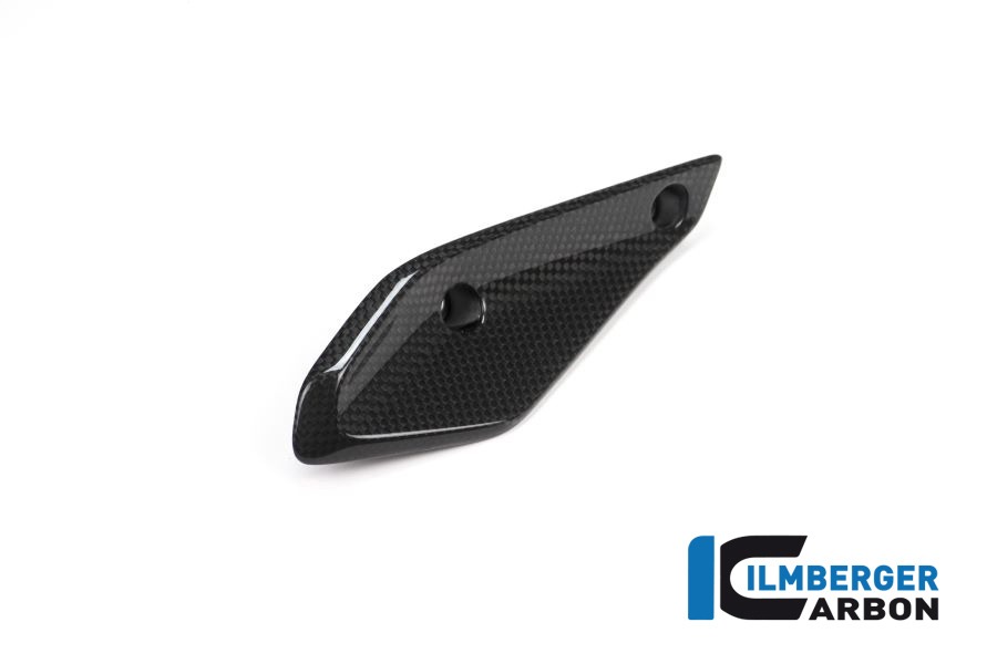 Ilmberger Carbon Fairing Winglet right side R/S