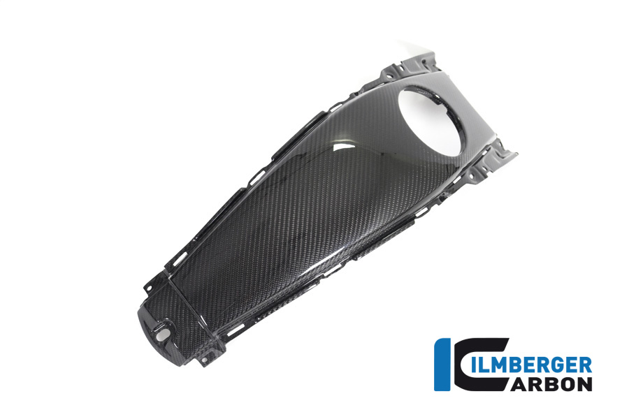 Ilmberger Carbon Mudguard fronte glossy BMW K1600GT K1600GTL / Bagger