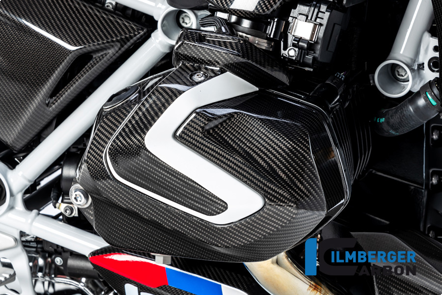 Windschild, Carbon