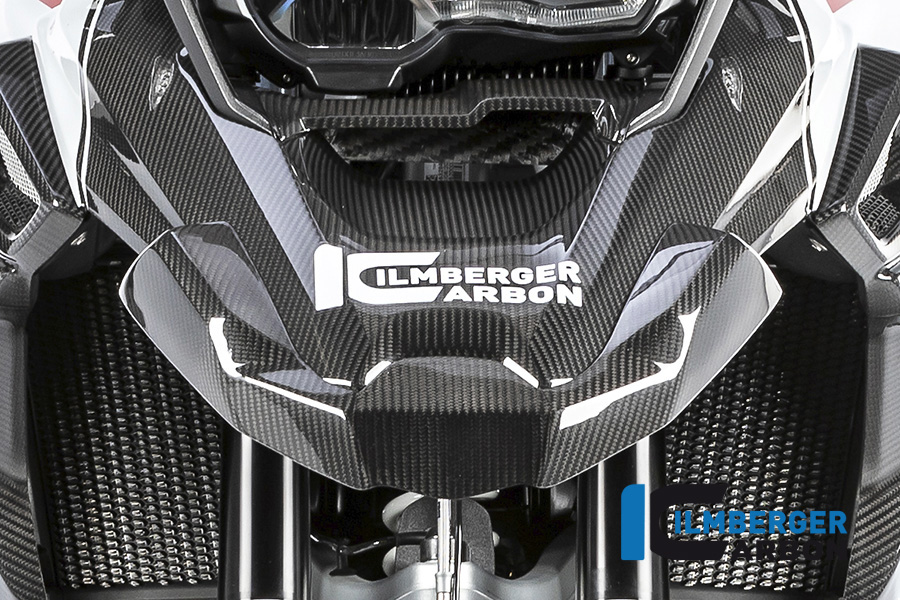 Windschild, Carbon