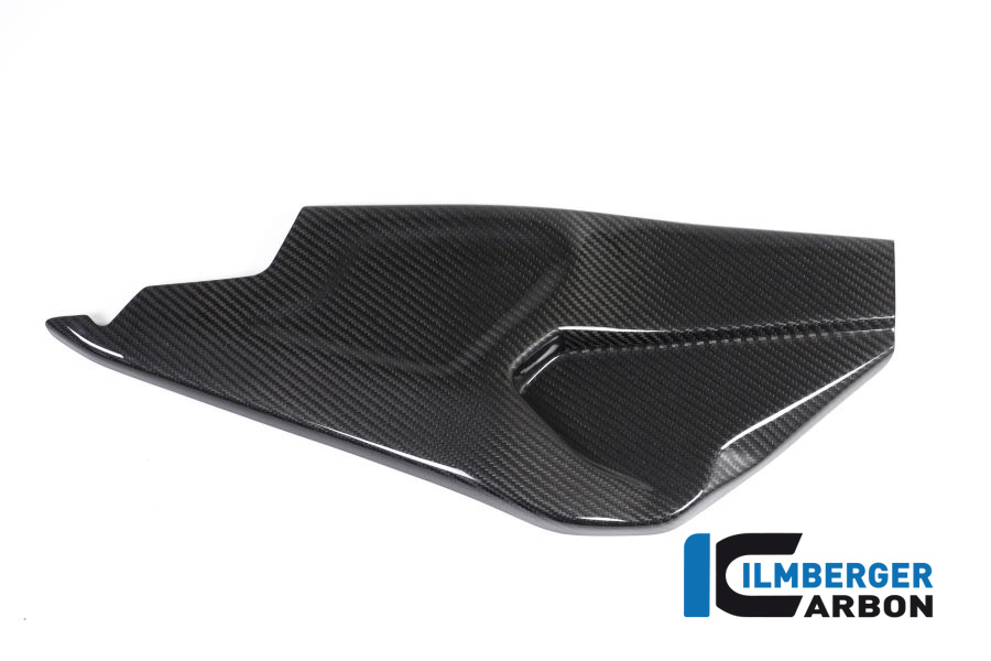 Ilmberger Carbon Swing Arm Cover right side R/S glossy, BMW HP4 RACE 2018-2019
