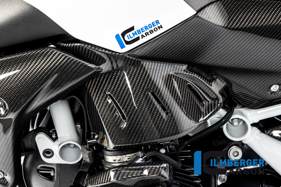 Windschild, Carbon