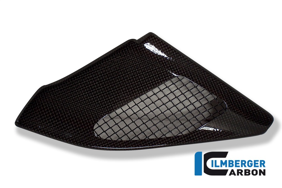 Ansaugrohrabdeckung, Carbon