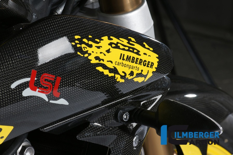 Ilmberger Carbon Side Panel above the radiatorr right side R/S, Carbon