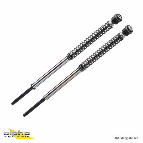 BITUBO JBH forkdamper Kit for MV Agusta Brutale 989R 2008