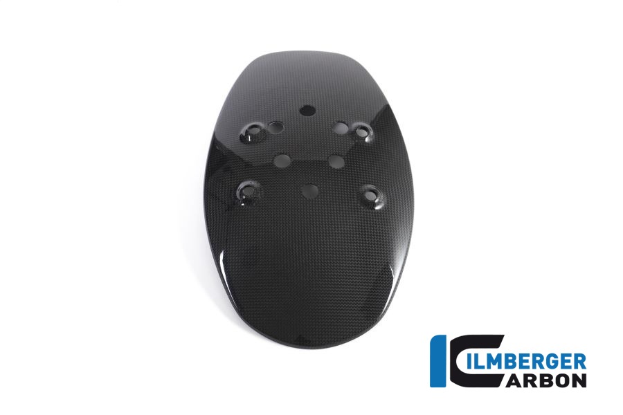 Ilmberger Carbon splash protector rear gloss