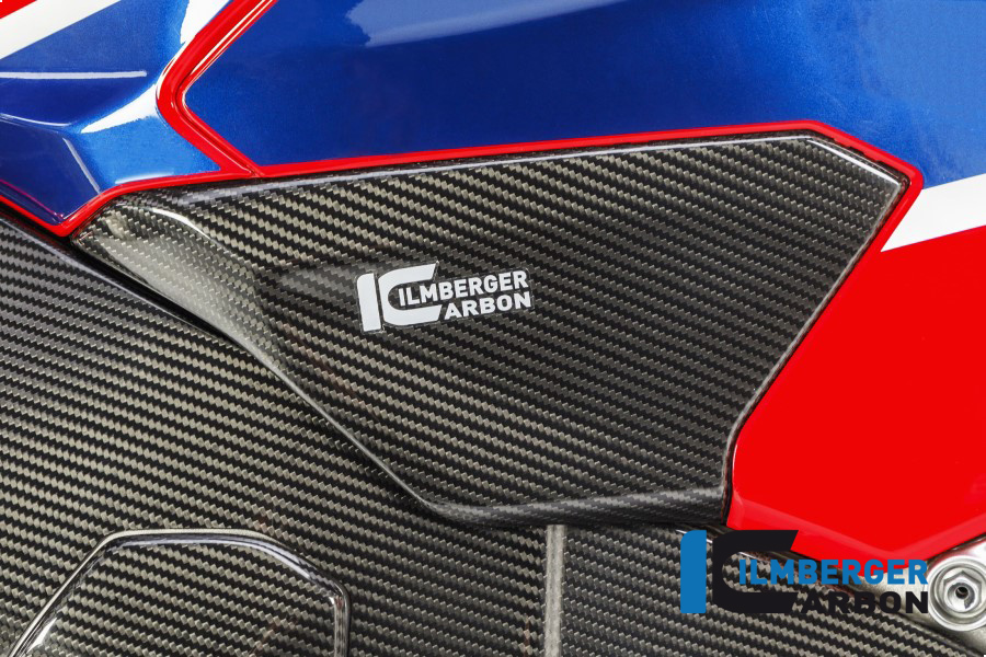 Kotflügel vorne, Carbon