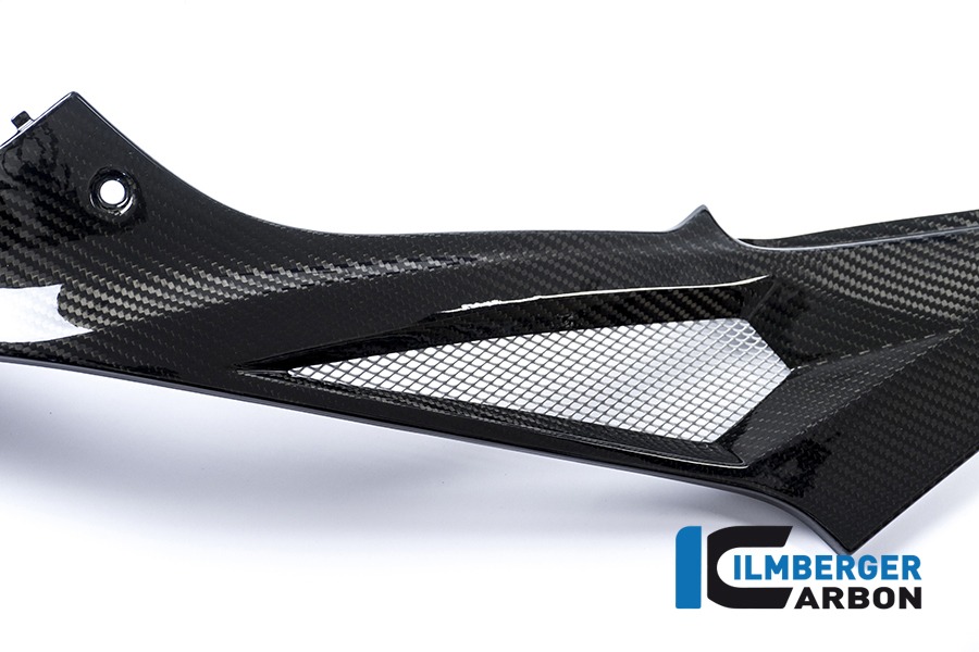 Seitendeckel links am Tank Racing, Carbon