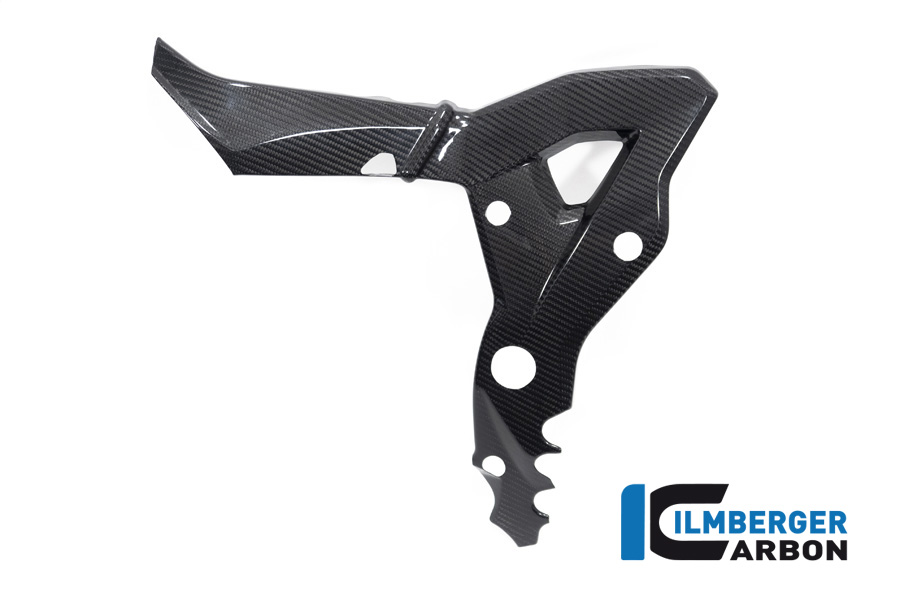 Ilmberger Carbon Frame Cover, Glossy, BMW S1000XR 2020- M1000XR 2024-