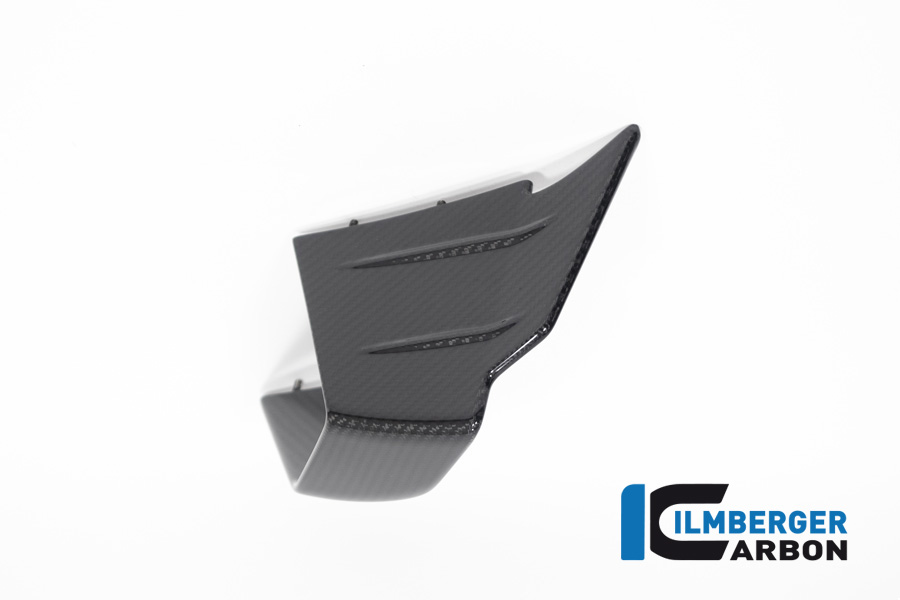 Fairing Winglet right side R/S made of Carbon for BMW M1000RR from model year 2020-