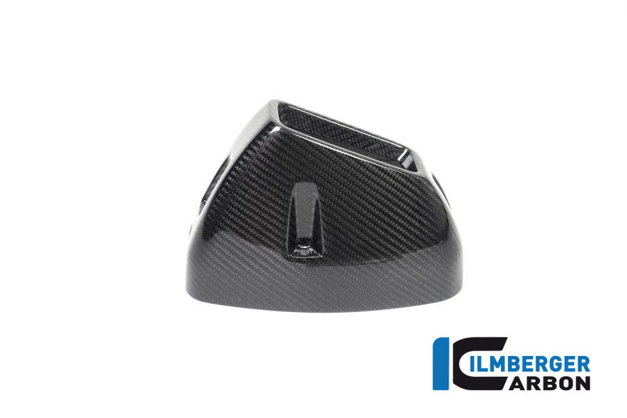 Exhaust Heat Shield rear Carbon for BMW R 1250 GS from 2019 onwards