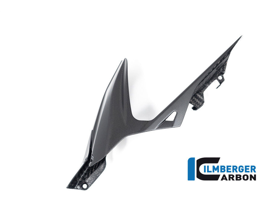 Ilmberger Carbon Mudguard rear, matte, Ducati Diavel V4, 2023-