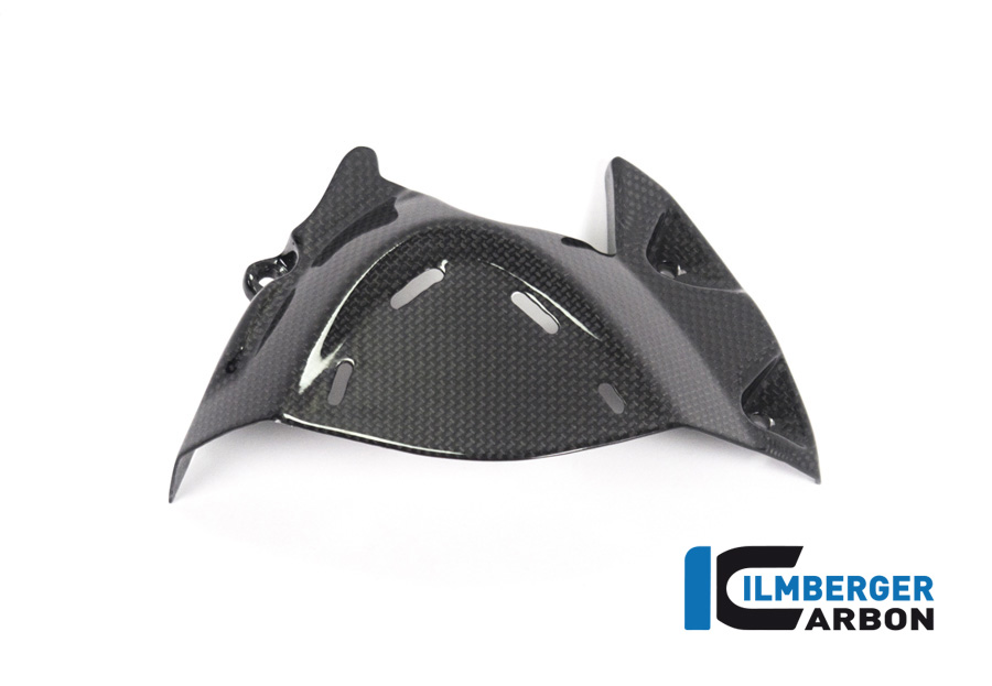 Ilmberger Carbon Sprocket Cover, glossy Ducati Monster 1200, 1200S 2017-