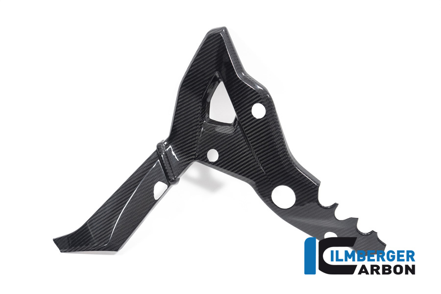 Ilmberger Carbon Frame Cover, Glossy, BMW S1000XR 2020- M1000XR 2024-